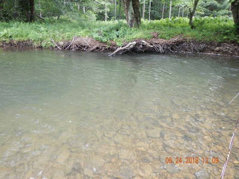 -Kettle Valley-082-.jpg - They weren't hitting dry flies as they were yesterday.  I put on a nymph.